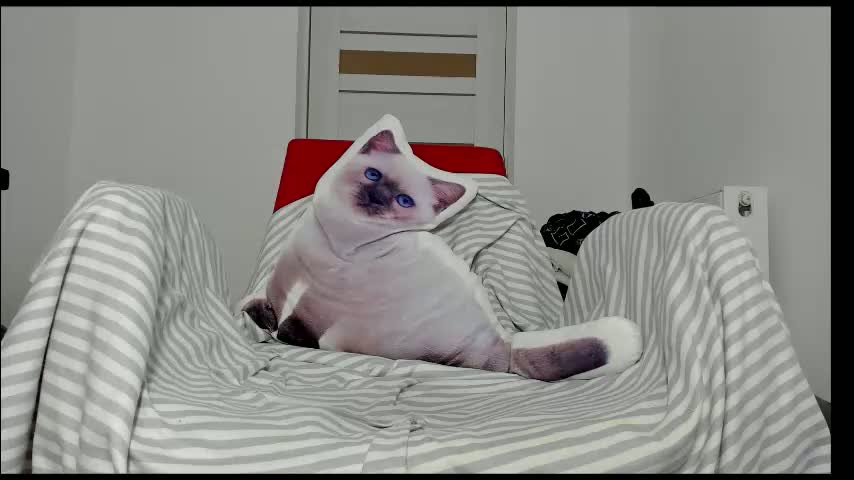 you_love_melisa Cam Model Chat January 18, 2026