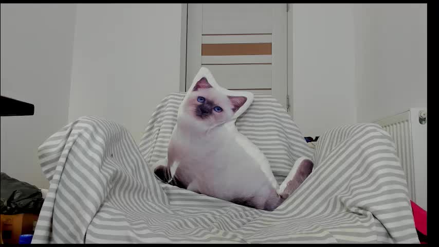 you_love_melisa Cam Model Chat January 18, 2026