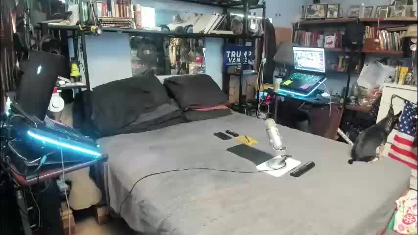 pink_black Cam Model Chat January 19, 2026