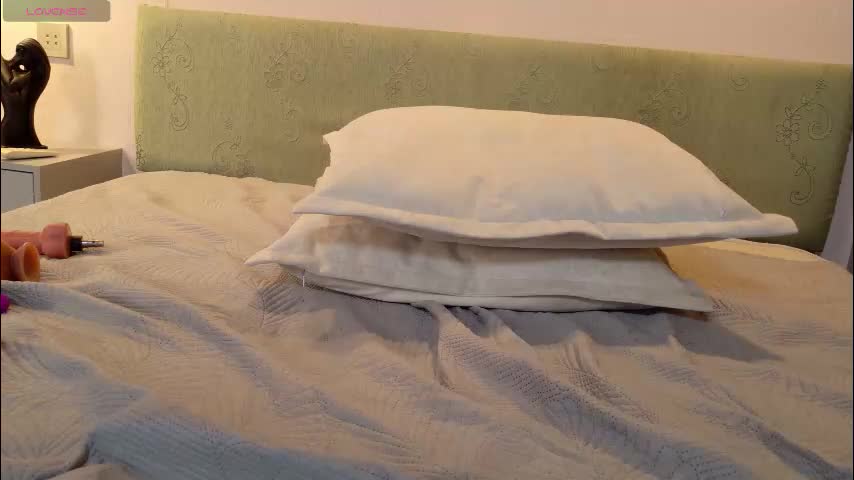 aurora_radiance Cam Model Chat January 19, 2026
