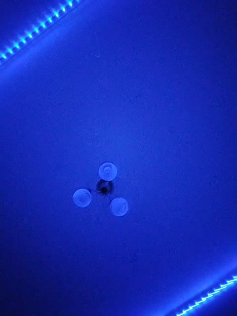 Leisan Cam Model Chat January 20, 2026