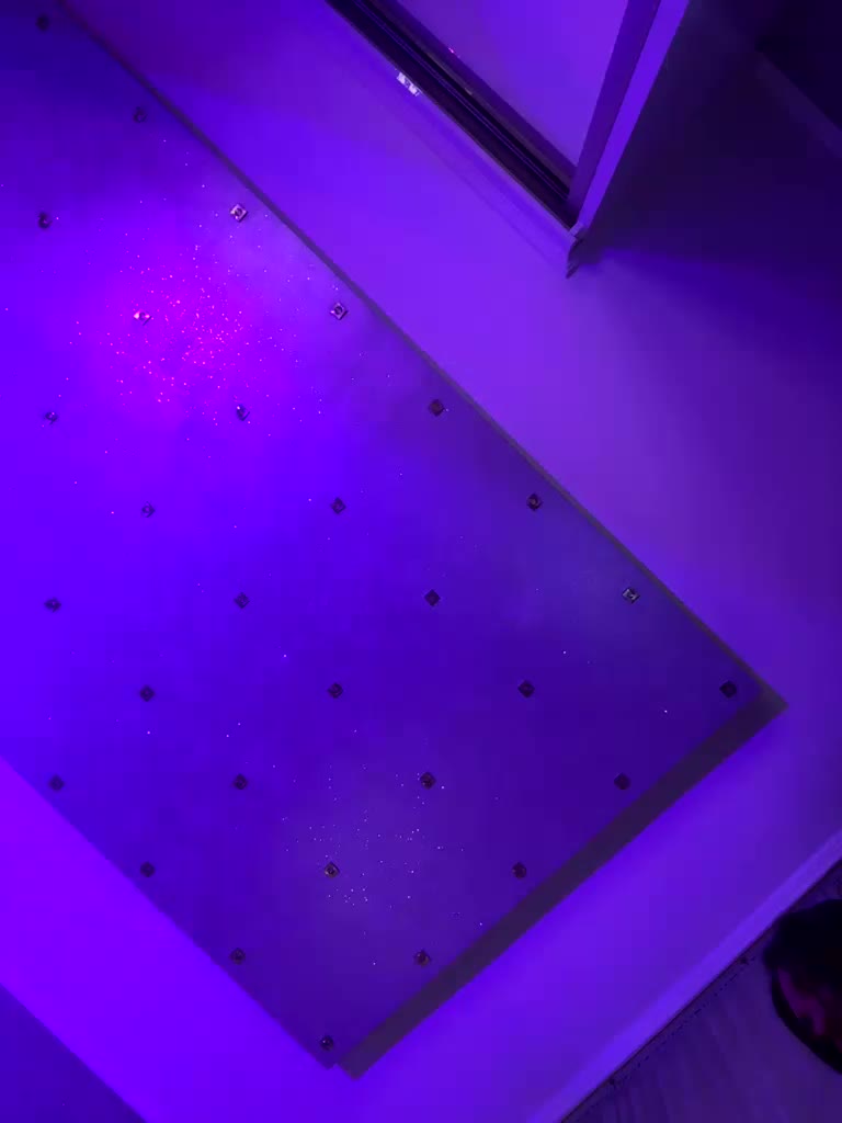 seilyfox Cam Model Chat January 22, 2026