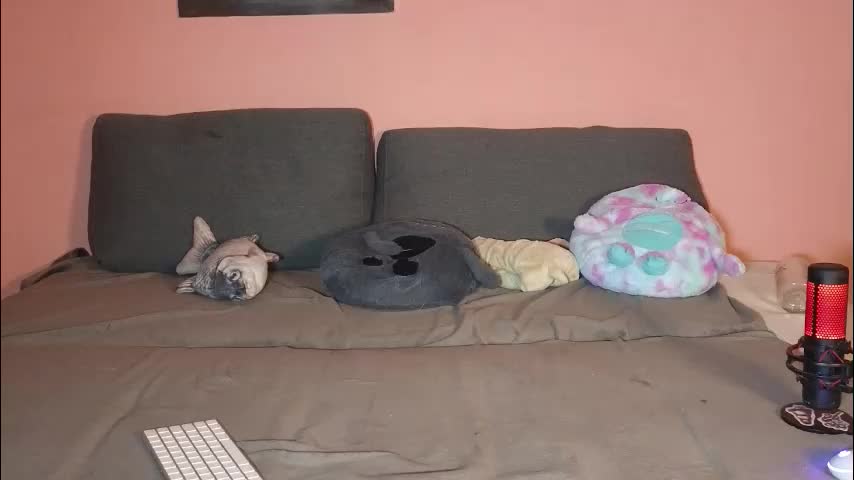 katusha008 Cam Model Chat January 22, 2026