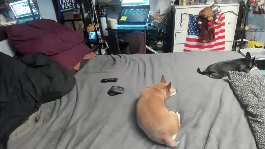 pink_black Cam Model Chat January 22, 2026