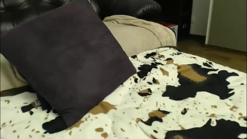 hot44cat Cam Model Chat January 22, 2026