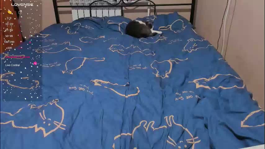 eva_zero Cam Model Chat January 24, 2026