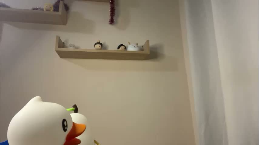 angelwhisper56 Cam Model Chat January 24, 2026