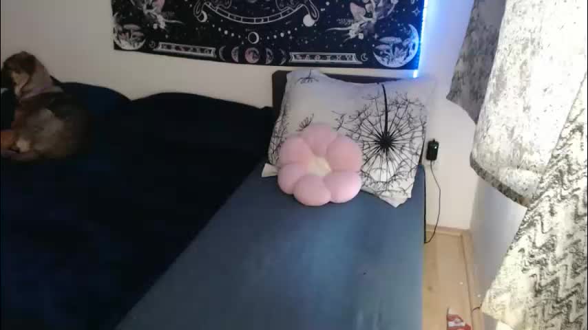 aliens4twenty Cam Model Chat January 24, 2026