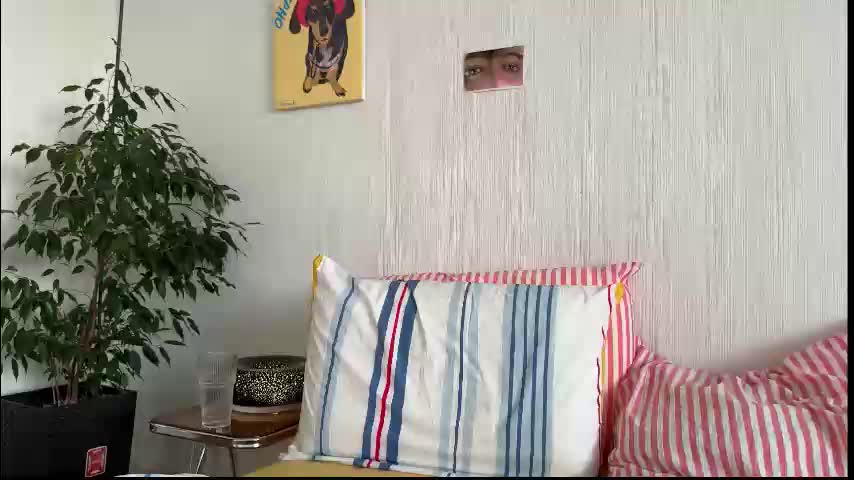 di_n_alex Cam Model Chat January 24, 2026