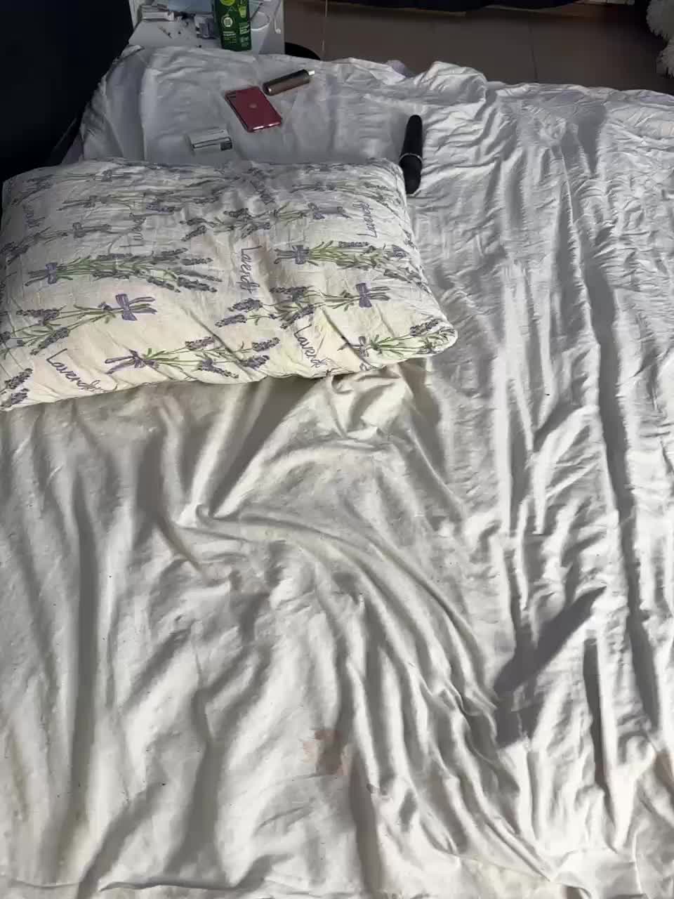 millemimi Cam Model Chat January 24, 2026