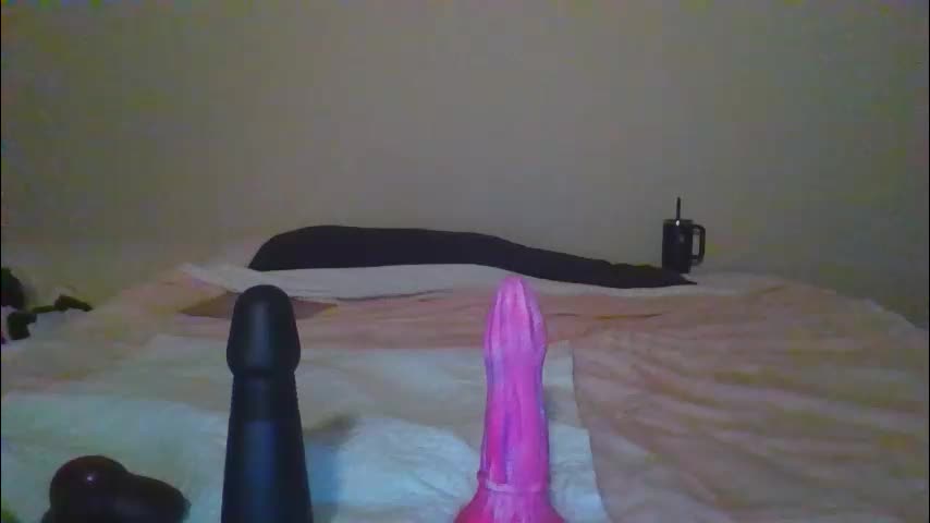 sdbeachfreaks Cam Model Chat January 24, 2026