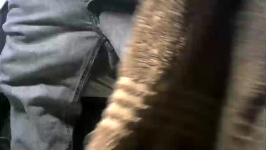 xbigtymerx Cam Model Chat January 24, 2026