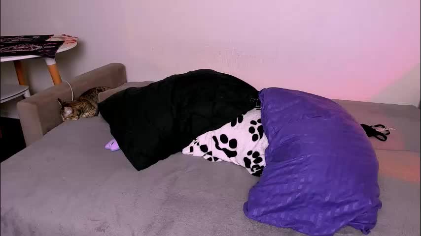 ladytrep Cam Model Chat January 24, 2026