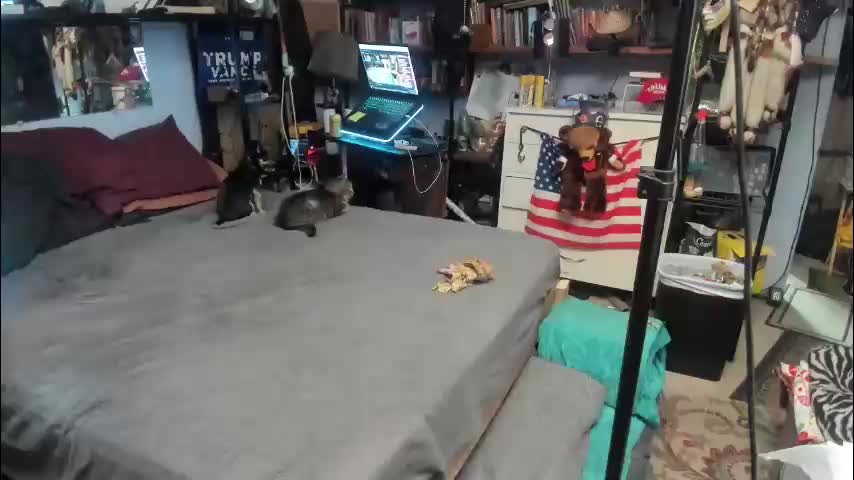 pink_black Cam Model Chat January 25, 2026