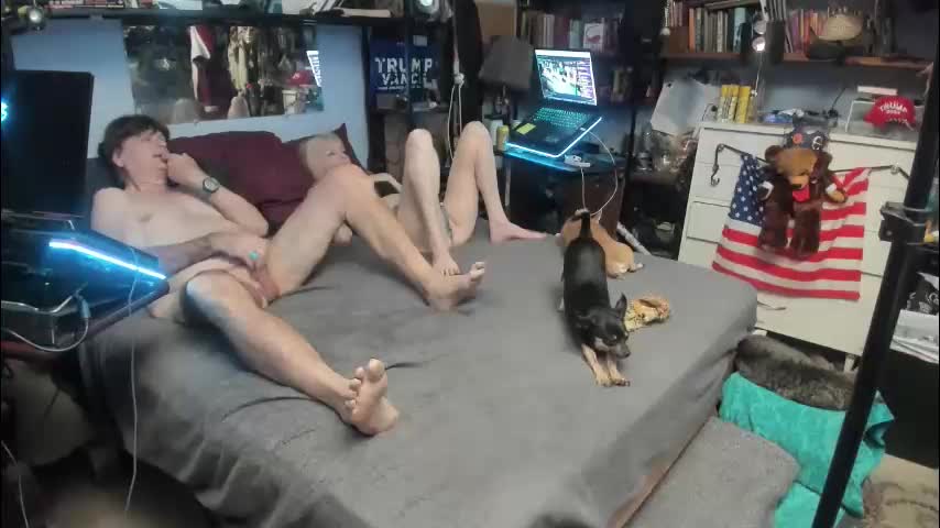 pink_black Cam Model Chat January 25, 2026