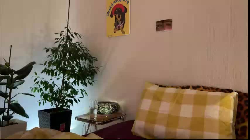 di_n_alex Cam Model Chat January 25, 2026