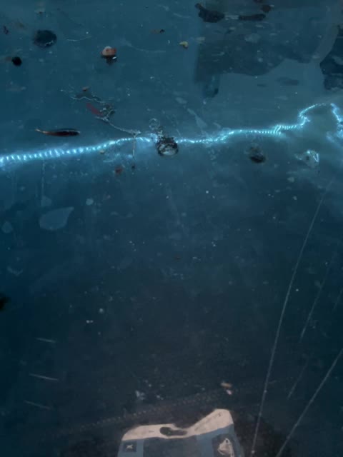 THREESIXMAFIA Cam Model Chat January 25, 2026