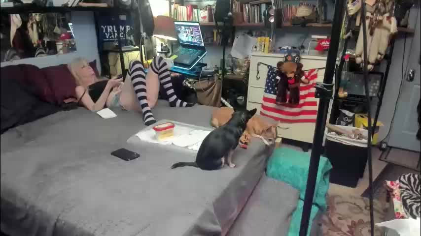 pink_black Cam Model Chat January 25, 2026