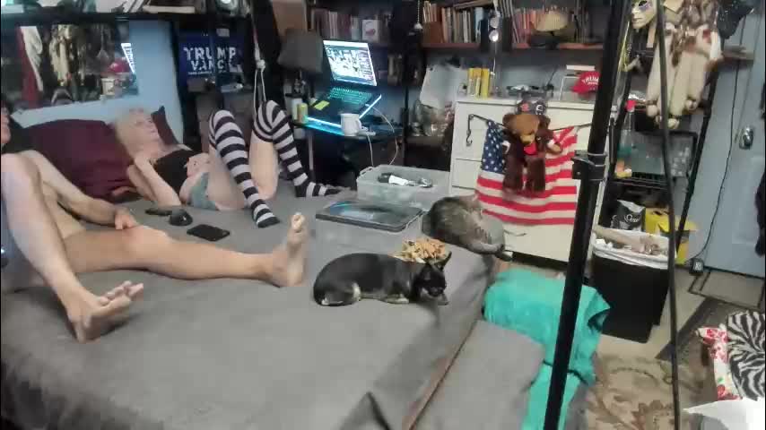 pink_black Cam Model Chat January 25, 2026