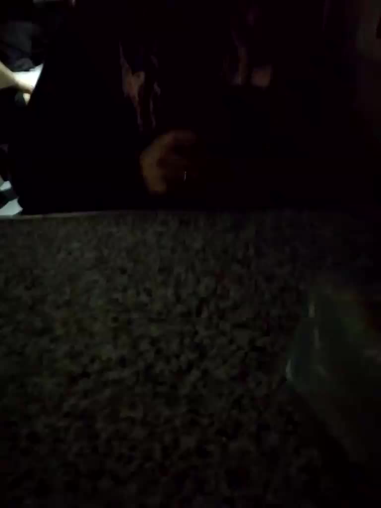 doktorgirl Cam Model Chat January 26, 2026