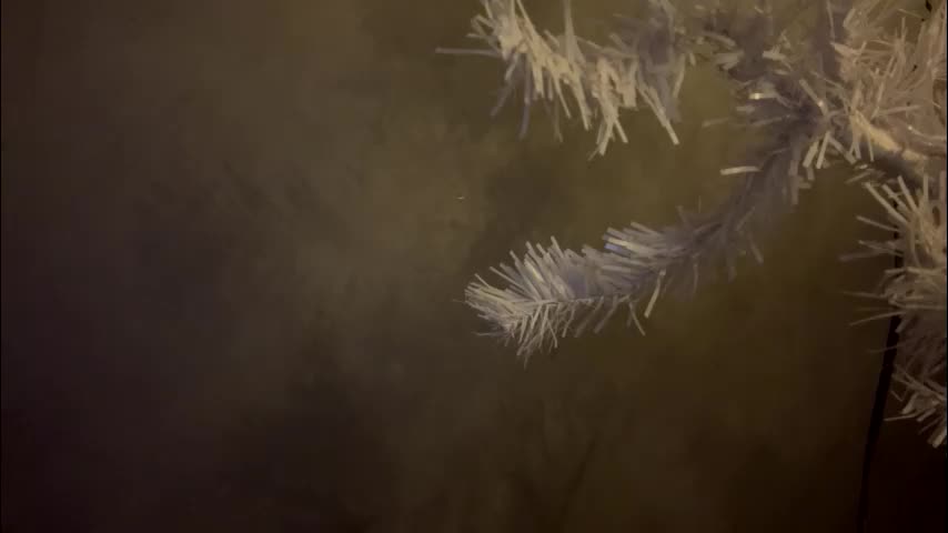 dunny_sexysusie69 Cam Model Chat January 26, 2026