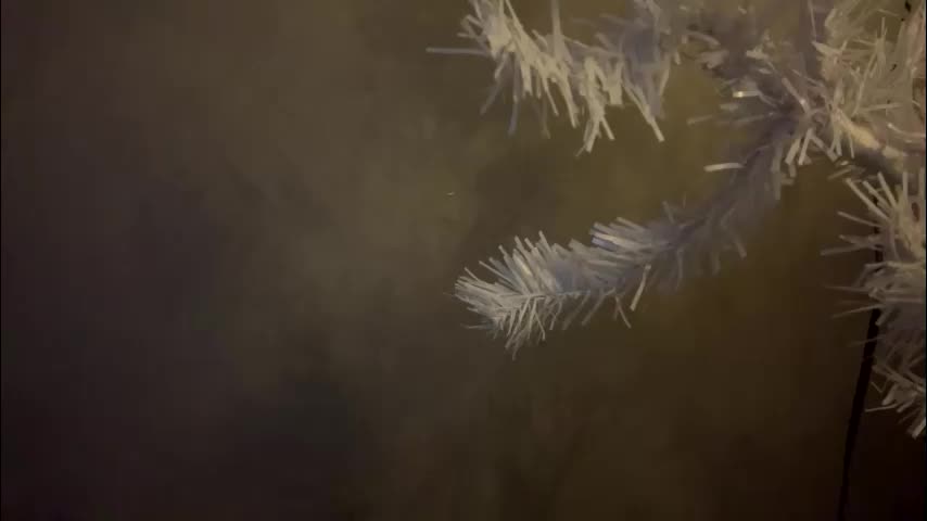 dunny_sexysusie69 Cam Model Chat January 26, 2026