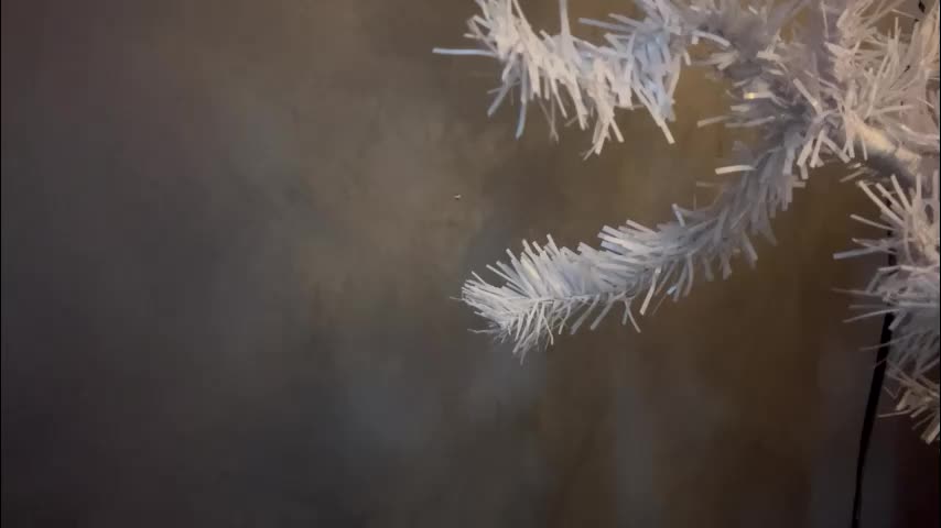 dunny_sexysusie69 Cam Model Chat January 26, 2026