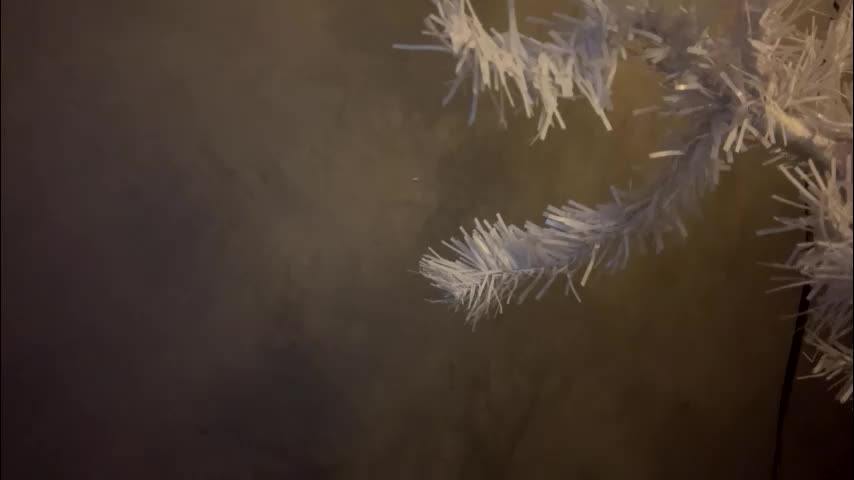 dunny_sexysusie69 Cam Model Chat January 26, 2026