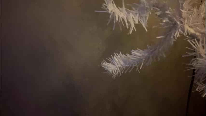 dunny_sexysusie69 Cam Model Chat January 26, 2026