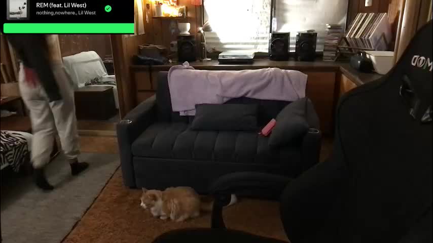 incognitoqueen Cam Model Chat January 26, 2026