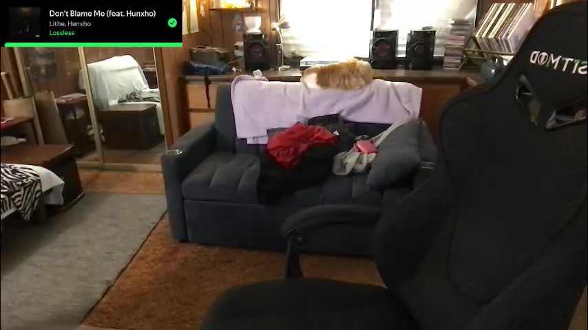 incognitoqueen Cam Model Chat January 26, 2026