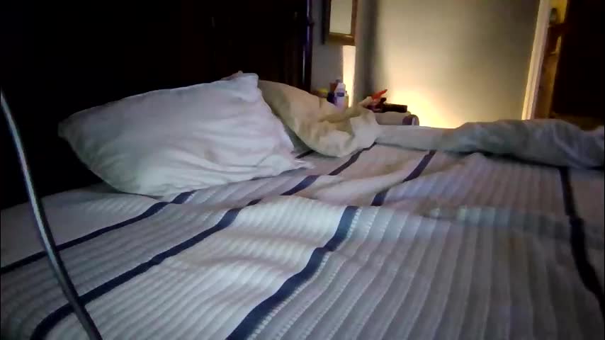 xxverabbyxx Cam Model Chat January 26, 2026