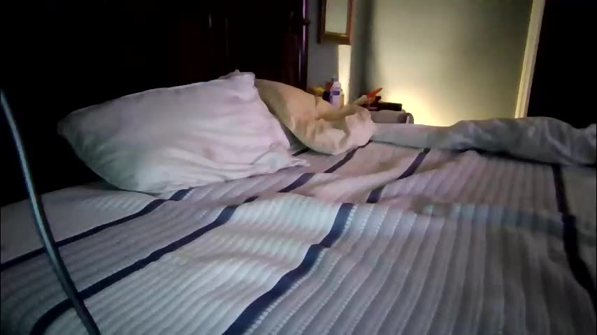 xxverabbyxx Cam Model Chat January 26, 2026