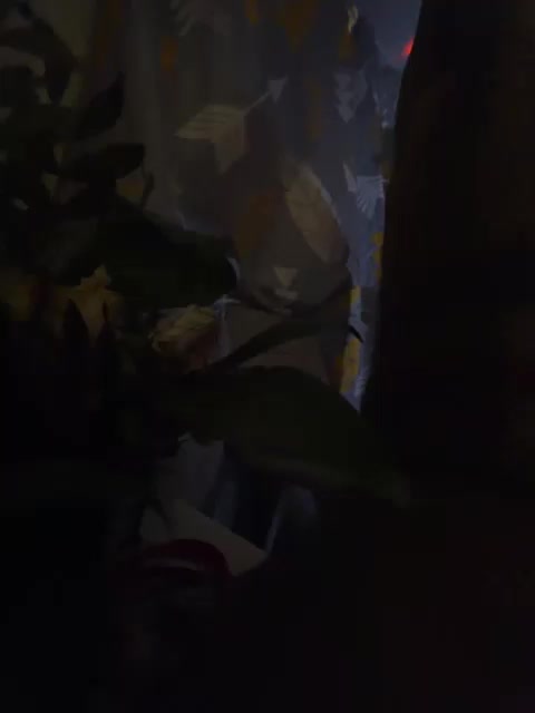 Skitovteam Cam Model Chat January 27, 2026