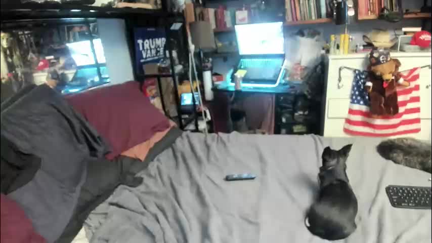pink_black Cam Model Chat January 28, 2026