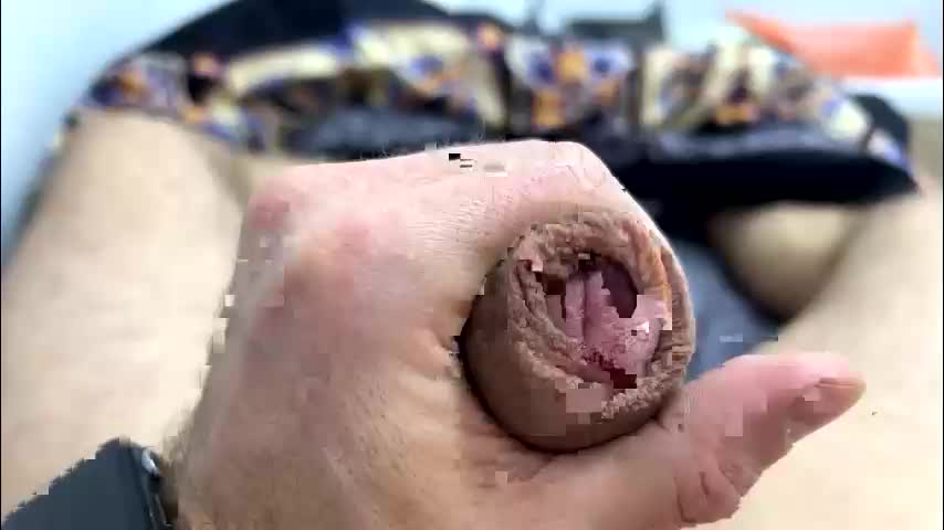 shtirlec86 Cam Model Chat January 28, 2026