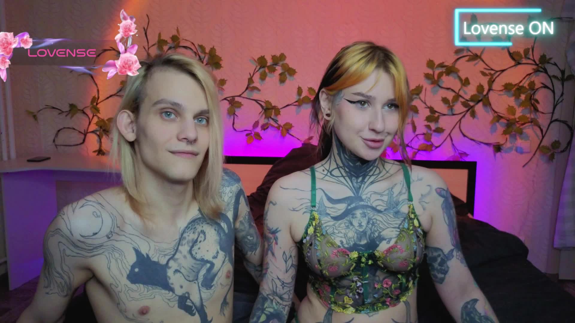 shnesyne Cam Model Chat January 28, 2026