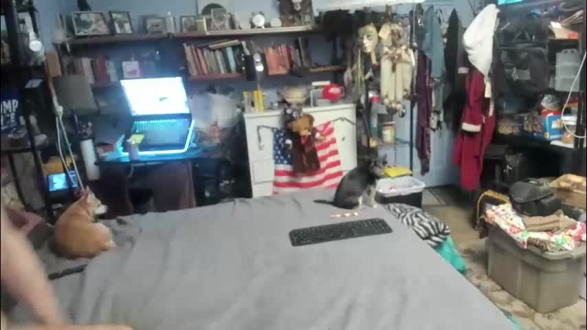 pink_black Cam Model Chat January 28, 2026