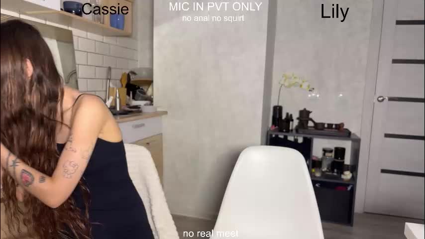 x_kai Cam Model Chat January 28, 2026