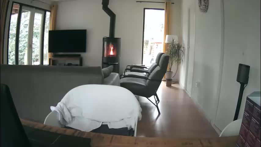 woodwurm Cam Model Chat January 28, 2026