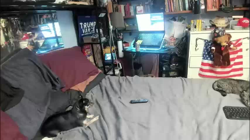 pink_black Cam Model Chat January 28, 2026