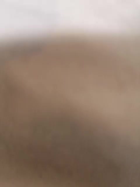 Nika0000 Cam Model Chat January 29, 2026