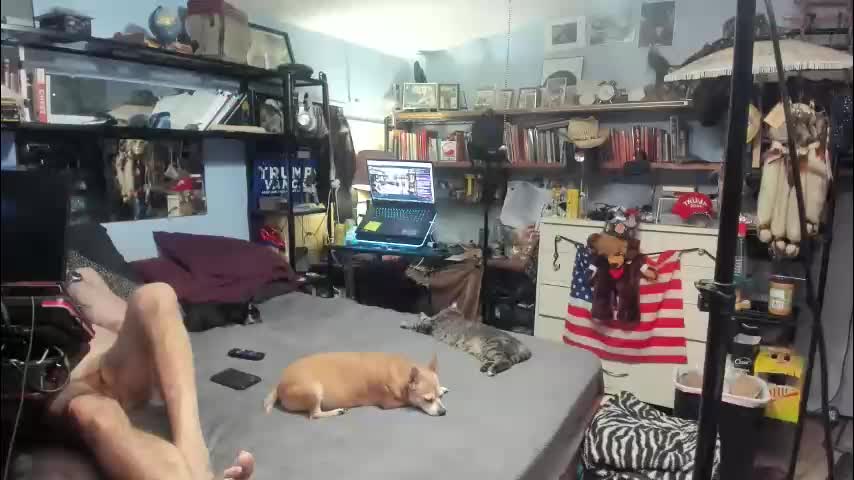 pink_black Cam Model Chat January 29, 2026