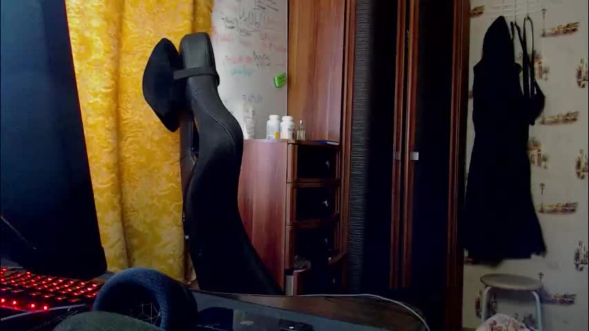 shyredstar Cam Model Chat January 29, 2026