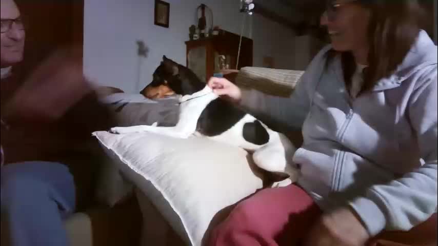 lolahueso Cam Model Chat January 29, 2026