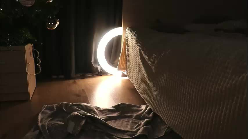 nasslady Cam Model Chat January 29, 2026