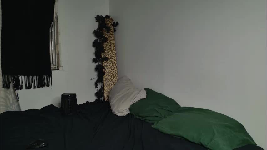 jackdesfeux Cam Model Chat January 29, 2026