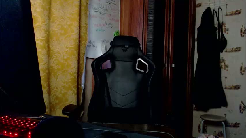 shyredstar Cam Model Chat January 29, 2026