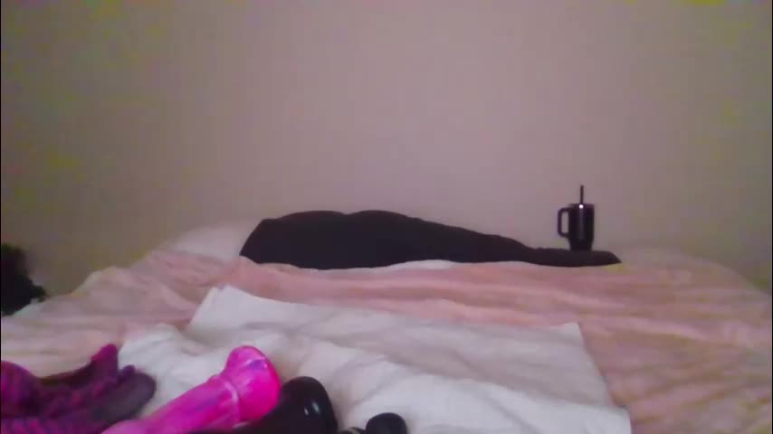 sdbeachfreaks Cam Model Chat January 29, 2026