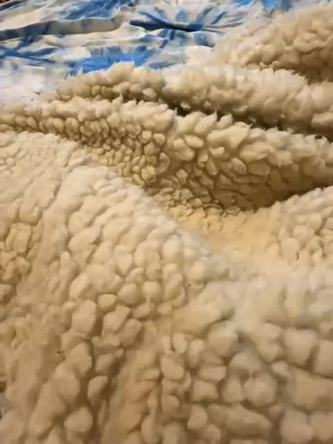 Daisy12321 Cam Model Chat January 30, 2026